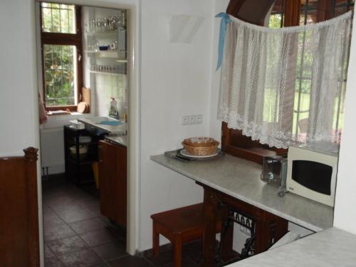 uma cozinha com um balcão com um micro-ondas em Pension Stará Škola em Hrubá Skála