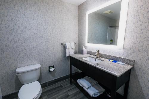 a bathroom with a toilet and a sink with a mirror at Holiday Inn Express Hotel & Suites Hamburg, an IHG Hotel in Hamburg