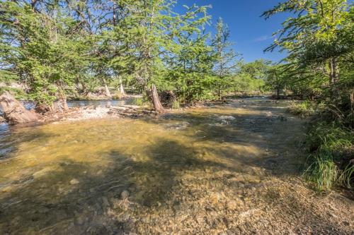 a river with trees on the side of it at River Bluff Cabins in Rio Frio