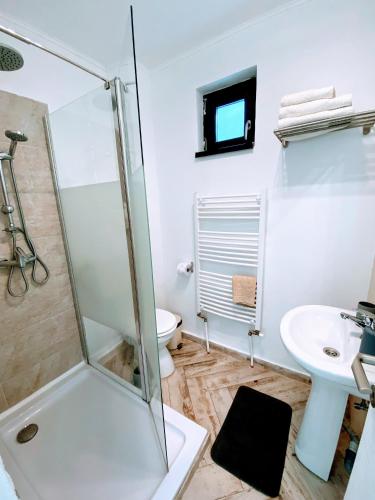 a bathroom with a shower and a sink at NOAH river house in Orşova
