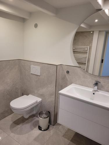 ein Bad mit einem WC und einem Waschbecken in der Unterkunft Apartment Südwesthörn in Emmelsbüll-Horsbüll