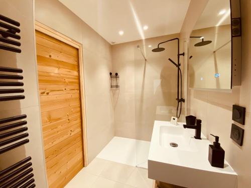 a bathroom with a sink and a shower at Appartement confortable et moderne in La Roche-sur-Foron