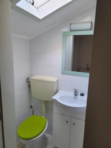 a bathroom with a green toilet and a sink at Alojamento Rosa in Nazaré
