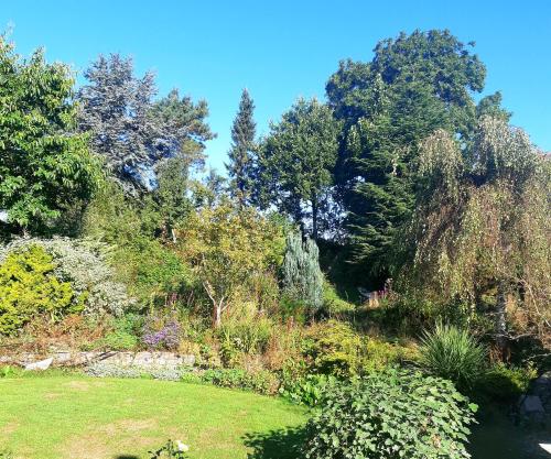 a garden with trees and grass and a pond at Plough Cottage is a 18th Century barn conversion offering a tranquil rural retreat 9 miles from the Lake District National Park in Carnforth