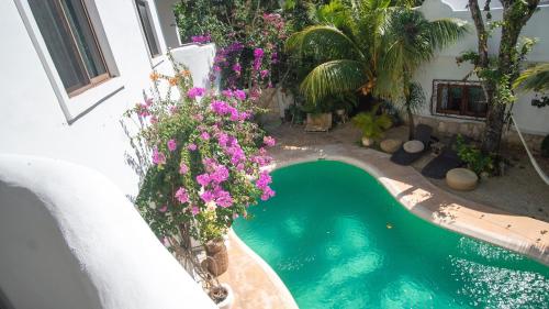 Πισίνα στο ή κοντά στο Sonido del mar Hotel Boutique & Yoga Loft
