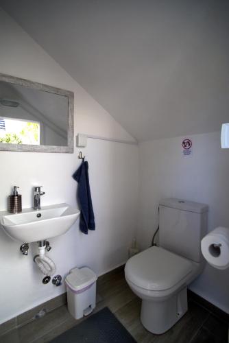a bathroom with a white toilet and a sink at Nicola's Apartments in Kassiopi