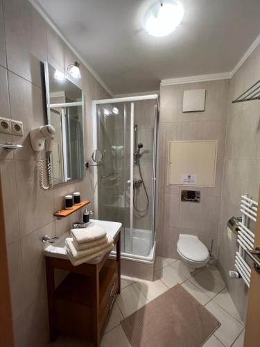 a bathroom with a shower and a sink and a toilet at Chance Apartman-Birdland Villapark Bükfürdő in Bük