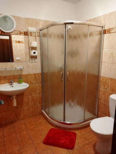 a shower in a bathroom with a sink and a toilet at Vinný sklep a penzion U Vinohradu in Velké Bílovice