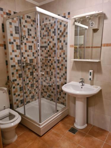a bathroom with a shower and a sink and a toilet at Apartman Lucija Međugorje in Međugorje