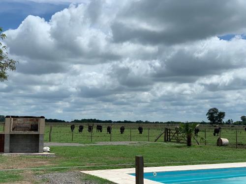 El 24, casa de campo! – Photos 3