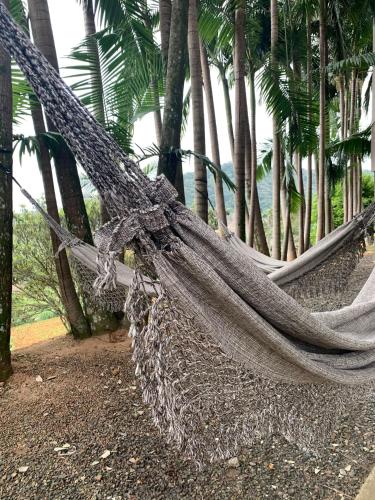 a hammock in front of a group of palm trees at Real NOB Hotel in Orleans
