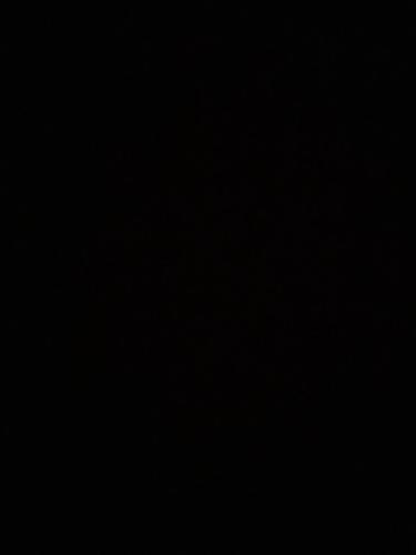 a dark room with a black background at Pension Kristall in Elbingerode