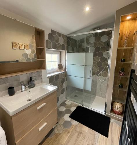 une salle de bain avec un lavabo et une douche dans l'établissement la casa verde 2 chambres 2 salles de bain 2 wc jardin, à Compiègne