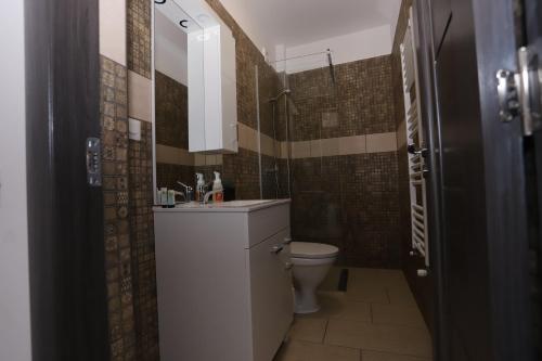a bathroom with a sink and a toilet at CENTRAL VIEW Craiova in Craiova