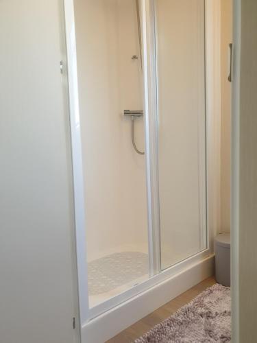 a shower with a glass door in a bathroom at Griffiths, Seaview Caravan Park, Whitstable in Kent
