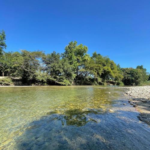 a body of water with trees in the background at EcoHostal Palmares Del Rio in Guachaca