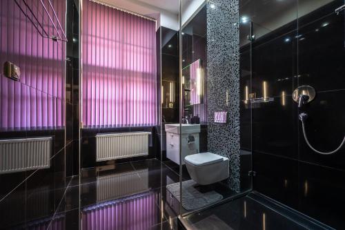 プラハにあるApartrezidence Opletalovaの黒のバスルーム(トイレ、シャワー付)