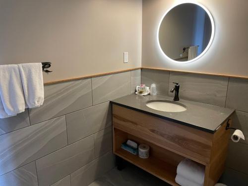 a bathroom with a sink and a mirror at Bear Hill Lodge in Jasper