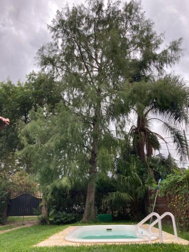 una pequeña piscina en un patio con un árbol en Las Calandrias, en Funes