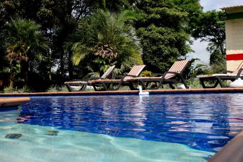 a swimming pool with chairs and a bird in the water at FINCA HOTEL EL LAUREL - Parque del Café in Montenegro