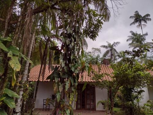 a house in the middle of a jungle with palm trees at Armazém do Porto Chalé Ixora in Morretes