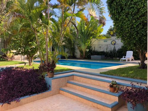 a set of stairs leading to a swimming pool with palm trees at Suites del Sureste - Mérida in Mérida