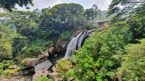 a waterfall in the jungle with a bridge above it at Eco Village Yoga Home in Digana
