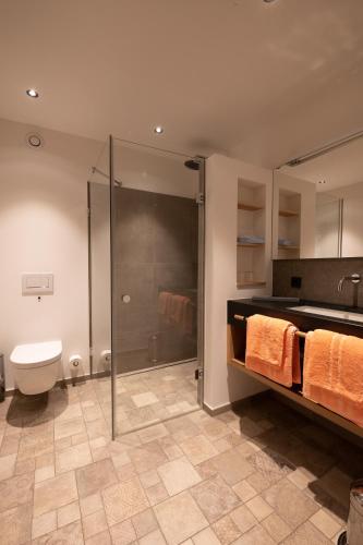 un bagno con doccia, WC e lavandino di LANDHOTEL ALTE ZOLLSTATION- Historical Building a Pittenhart