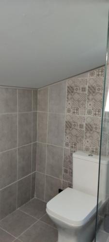 baño con aseo y pared de azulejos en Мансардна Никол, en Vidin