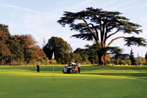 a group of people playing golf on a golf course at The Goodwood Hotel in Chichester