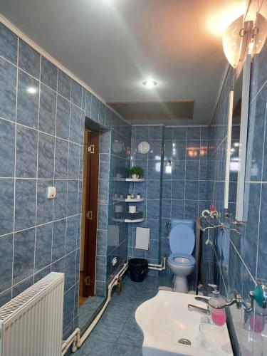 Baño de azulejos azules con aseo y lavamanos en Casa YMY, en Sarmizegetusa