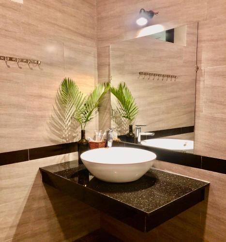 La salle de bains est pourvue d'un grand lavabo et d'un miroir. dans l'établissement Hoi An Sunny Garden, à Hội An