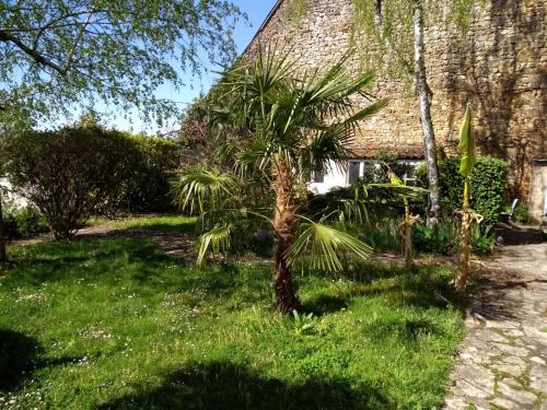 a palm tree in the grass in front of a house at Maison Chopin in Gramat