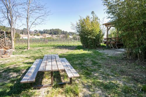 Grenache – Photos 5