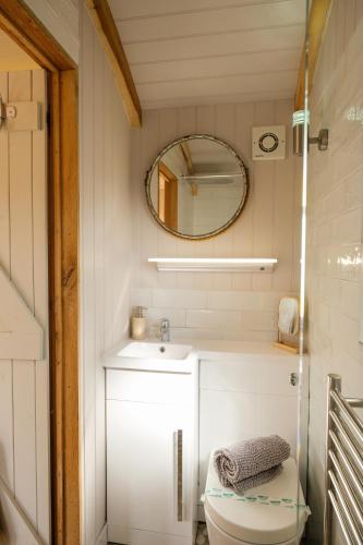 a bathroom with a sink and a toilet and a mirror at Piano Forte - delightful rural shepherd hut retreat & hot tub available in Rushford