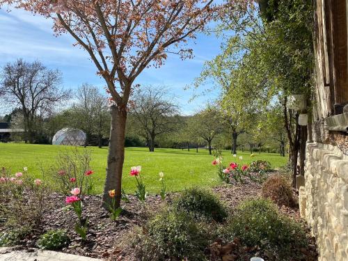 a garden with flowers and a tree in a field at Locations - Domaine Le Coq Enchanté in Cambremer