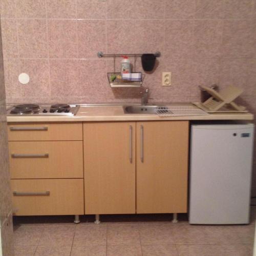 a small kitchen with a sink and a refrigerator at Solar Apartments in Herceg-Novi