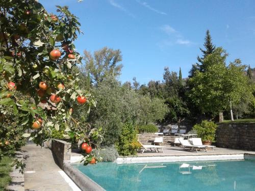 an orange tree next to a swimming pool at Fattoria Casamora - Villa La Nocciolina in Pian di Scò