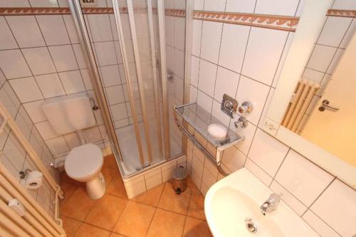 ヴェスターラントにあるAd1 303 Morgensonneのバスルーム(シャワー、トイレ、シンク付)
