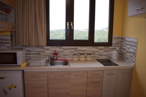 una cucina con lavandino e due finestre di Funky Nest - A cozy apartment in Zipari a Città di Kos