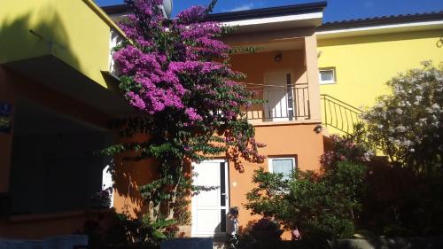 un edificio con flores púrpuras a su lado en Apartments Mirjana, en Petrčane