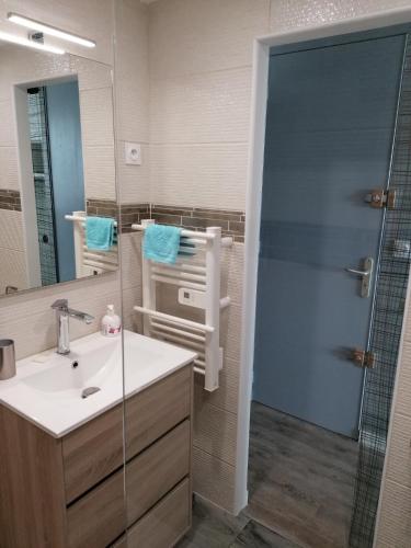 une salle de bain avec un lavabo et une douche avec un miroir dans l'établissement Cap Agde Natu Port Ambonne, au Cap d'Agde