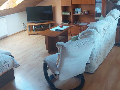 a living room with a couch and a television at Apartmán v rodinném domě in Hradec Králové