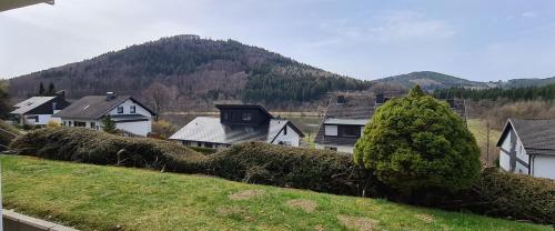 a group of houses with a mountain in the background at Ferienwohnung Seeblick Winterberg in Winterberg