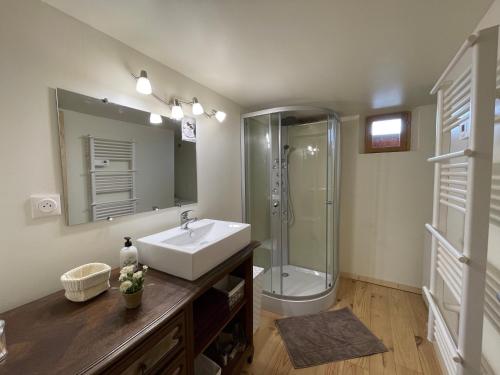 a bathroom with a sink and a shower at L'ancienne étable in Brens