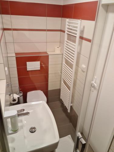 a small bathroom with a sink and a toilet at Hotel Skicentrum in Harrachov