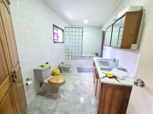 y baño con aseo, lavabo y espejo. en 3 bedrooms house with sea view enclosed garden and wifi at Souvenir, en Misere