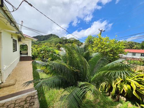 a house with palm trees in front of a mountain at Charming house with sea view in Souvenir - 200 m² - Terrace in Misere