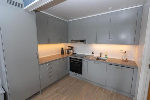 Η κουζίνα ή μικρή κουζίνα στο Four bedroom holiday cottage in Sirdal