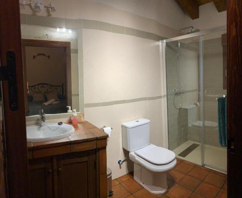 a bathroom with a toilet and a sink and a shower at Los Arenales de Arcones in Colladillo